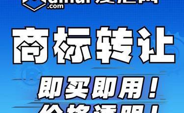 服务商标与资本投资咨询 新时代商业战略的关键要素