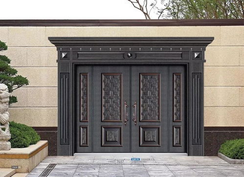 创世华都非标门 守护时光，留住幸福